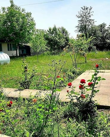leyis baglari: 20 sot, Biznes üçün, Barter mümkündür, Kupça (Çıxarış) — 3