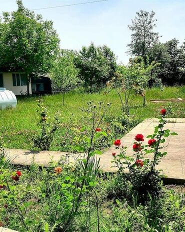Bağ evlərinin satışı: Qəbələ, 170 kv. m, 6 otaqlı, Qaz, İşıq, Su — 2