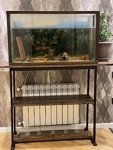 syomqa baliq: Akvarium Olchusu eni 1 metr hundurluyu 70 sm derinliyi 40 sm - — 4