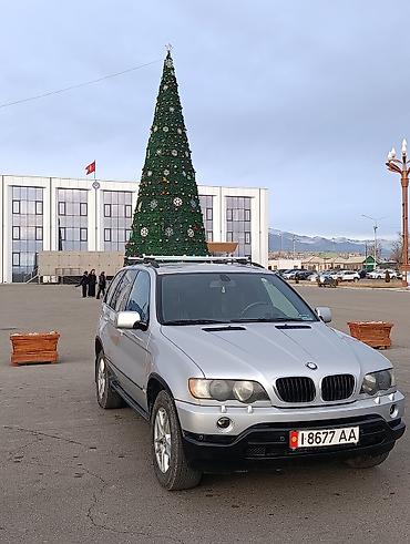 20 лет: BMW X5: 2002 г., 3 л, Автомат, Дизель, Кроссовер — 1