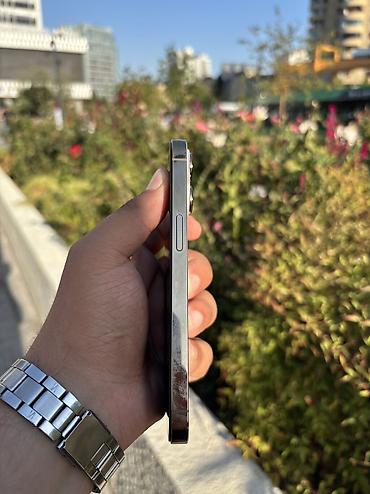 iphone 13 dubai: IPhone 13 Pro, 256 GB, Matte Gold — 3