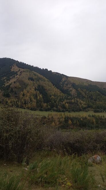 село васток дом: Барачный, 6 м², 3 комнаты, Собственник, Старый ремонт