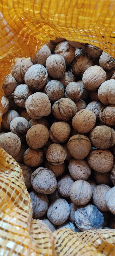 Сухофрукты, орехи, снеки: Продаю грецкие орехи