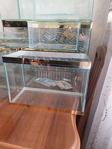 Akvariumlar: Çatdırılma tam pulsuzdu ölçü və dizaynında dəyişiklik etməy olar arxa — 1