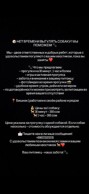 top service: Номер для связи: +996223323215 — 1