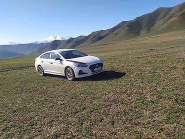 bmw e29: Hyundai Sonata: 2019 г., Автомат, Гибрид, Седан — 1