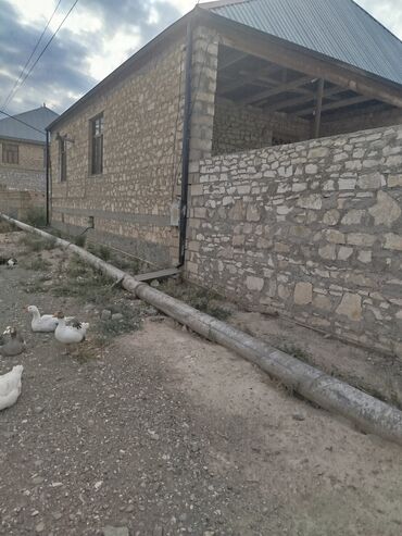 gencede kiraye mehle evleri: 2 otaqlı, 8 kv. m, Orta təmir