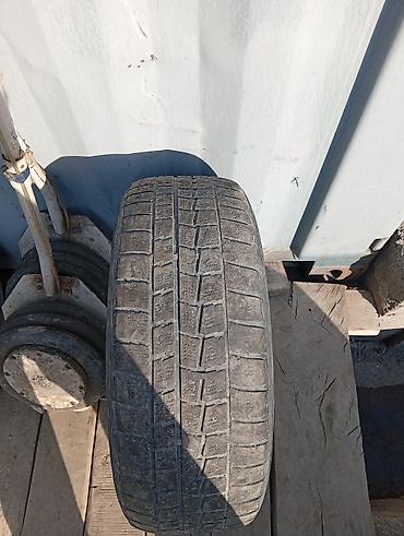 stud 100: Зимняя шина Dunlop 215/55 R17 94Q (шипуемая) - Производитель: Dunlop — 1