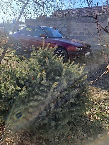 BMW: BMW 5 series: 1992 г., 2 л, Механика, Бензин, Седан — 1