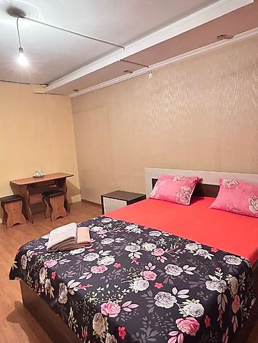 Посуточная аренда квартир: 1 комната, Интернет, Wi-Fi — 11