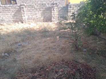 Torpaq sahələrinin satışı: 2 sot, Maklerlər narahat etməsin, Bələdiyyə — 15