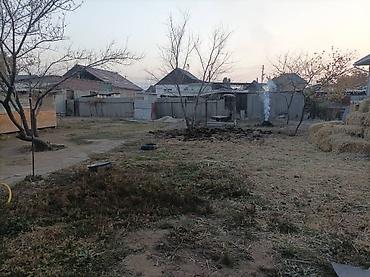 Продажа коттеджей и домов: Продаётся частный дом с большим двором и хозяйственными постройками at lalafo.kg — 4 Продажа коттеджей и домов: Продаётся частный дом с большим двором и хозяйственными постройками — 4