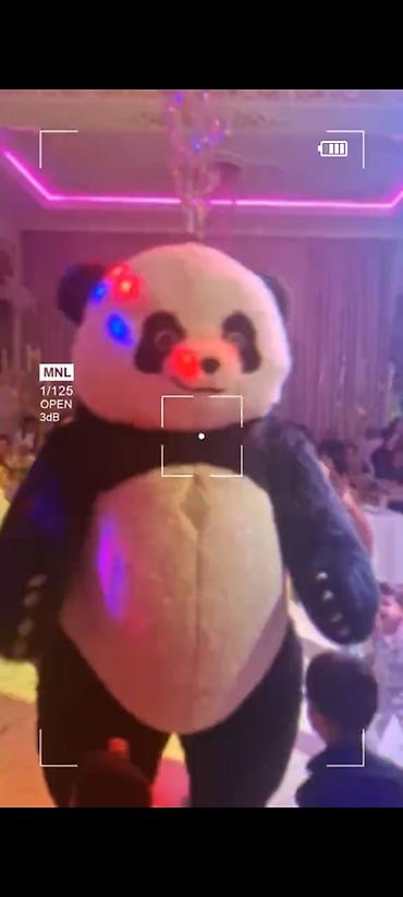 animatorlar bakida: Panda maskot ilə tədbir əyləncəsi - Böyük ölçülü panda maskotu ilə — 2