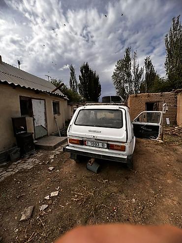 трактир 82: ВАЗ (ЛАДА) 4x4 Нива: 1994 г., 1.6 л, Механика, Бензин, Внедорожник — 1