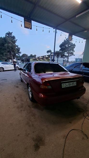 Hyundai: ZEHMET OLMASA AXRAKİMİ OXUYUN MATOR KAROPQA TAM ELA VEZYETDEDİR — 2