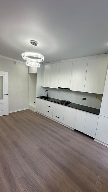 55: 1 комната, 55 м², Технопарк Элитка, 3 этаж, Евроремонт — 4
