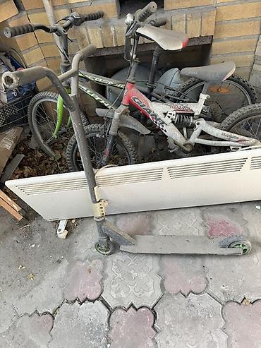 Детский транспорт: Детские велосипеды и самокат

По 1000 сом — 2