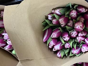 Букеты из живых цветов: Тюльпаны на 8 марта Принимаю корпоративные заказы с оформлением 16 — 11