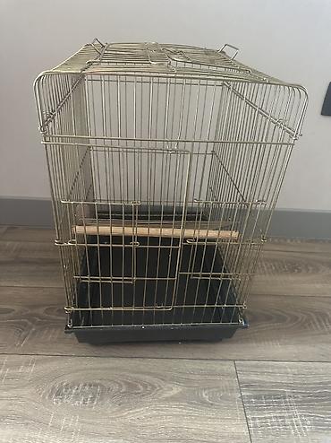 qefəs: Quş qəfəsi - Material: metal karkas, qızılı rəngli barmaqlıqlar - — 3