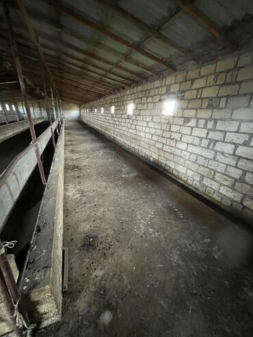 Torpaq sahələrinin satışı: Kənd təsərrüfatı — 10