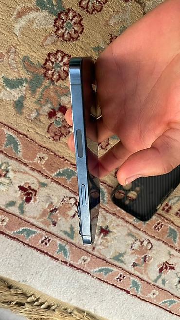 Apple iPhone: IPhone 13 Pro, Голубой, Чехол — 2