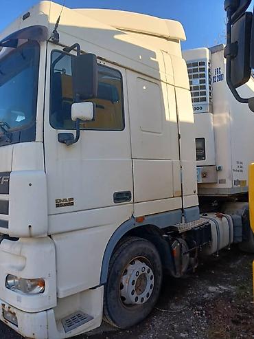 Тягачи: Тягач, DAF, 2003 г. — 2