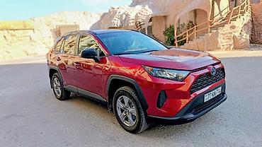 Toyota: Toyota RAV4: 2.5 l | 2022 il Krossover — 15