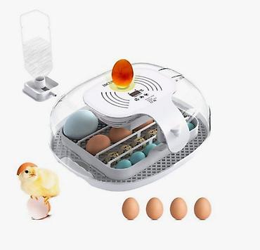 Товары и оборудование для с/х животных: Инкубатор на 16 яиц #Инкубатор #БизнесИнкубатор — 5