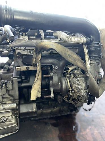 дизил 1 9: Двигатель Volkswagen 1.6 TDI (серия EA189), турбодизельный. Основные — 5