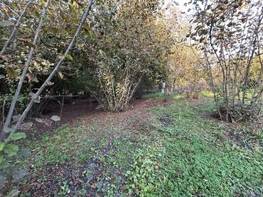 Torpaq sahələrinin satışı: 43 sot, Tikinti, Mülkiyyətçi, Kupça (Çıxarış) -da lalafo.az — 5 Torpaq sahələrinin satışı: 43 sot, Tikinti, Mülkiyyətçi, Kupça (Çıxarış) — 5