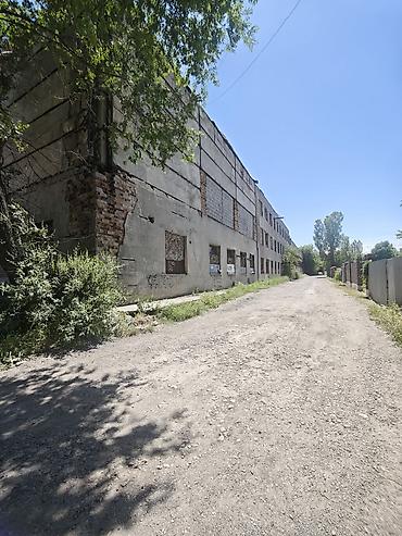 Продажа зданий: Здание, 2000 м² — 2