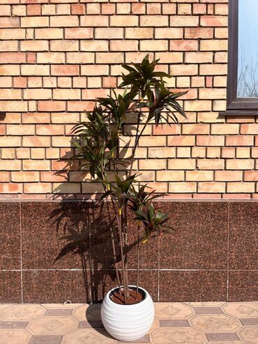 Декоративные цветы: Искусственные деревья и цветы — долговечный и стильный декор без — 18