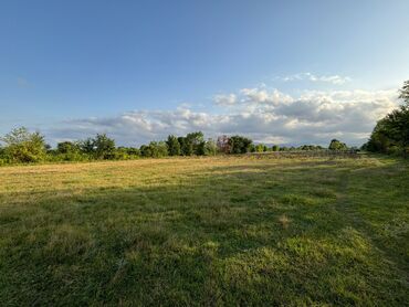 Torpaq sahələrinin satışı: 80 sot, Kənd təsərrüfatı, Mülkiyyətçi, Kupça (Çıxarış), Müqavilə — 11