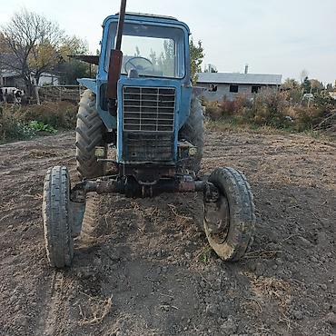 Капуста: Капуста — 2