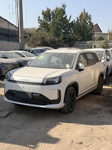 jac k7: AION V 520 km 
Квота ! 
Белый на песке
Черный на песке — 1