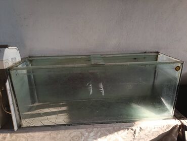 бутыль 50 литров: Tutumu 500L şüşə akvarium, 
Mağaza deyil