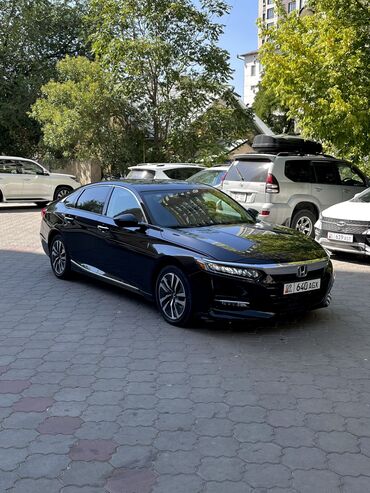 шины на погрузчик бу: Honda Accord: 2019 г., 2 л, Вариатор, Гибрид, Седан