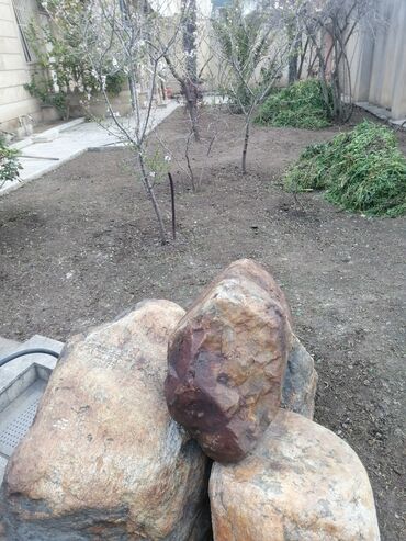 Landşaft işləri: Salam aleykum Adim Sahib 44yaşim var Bakida yaşayiram Gündelik olaraq — 26