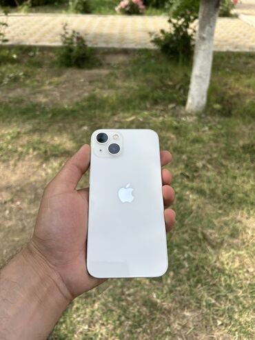 чехол для телефона fly cirrus 13: IPhone 13, Старлайт, Face ID