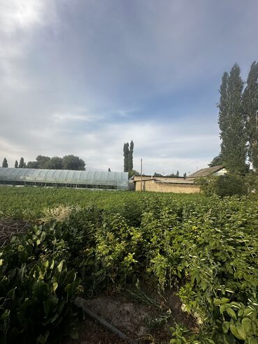 Продажа домов: Дом, 67 м², 4 комнаты, Собственник, Косметический ремонт — 6