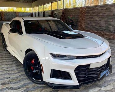 Nəqliyyat vasitəsinin icarəsi: Camaro masini toy nişan və digər tədbirlər üçün sifariş edə bilərsiz -da lalafo.az — 5 Nəqliyyat vasitəsinin icarəsi: Camaro masini toy nişan və digər tədbirlər üçün sifariş edə bilərsiz — 5