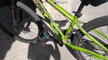 velosiped satiram 28: 310 manata velosiped satılır; ölçüsü 26 düymdür. "Xameleon" effektli — 1