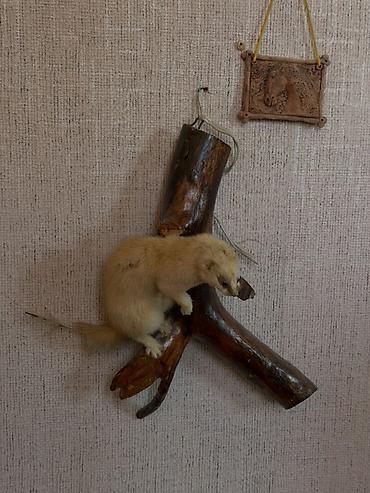 ысык кол: Үй (жеке сектор), Бактуу-Долоноту, 20+ орун — 10