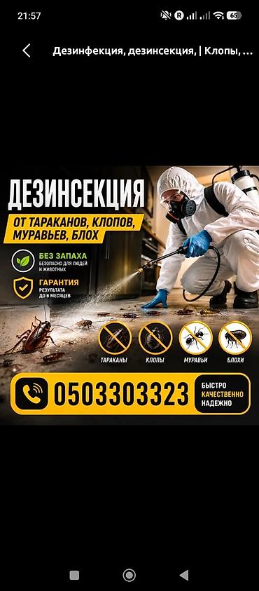 Дезинфекциялоо, дезинсекциялоо: Дезинфекциялоо, дезинсекциялоо, | Таракандар, | Батирлер — 3