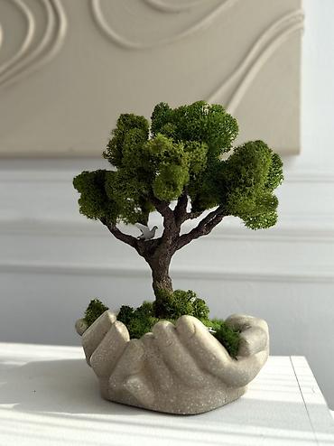 Декоративные цветы: Деревья-бонсай из натурального стабилизированного мха🌳 -это — 31