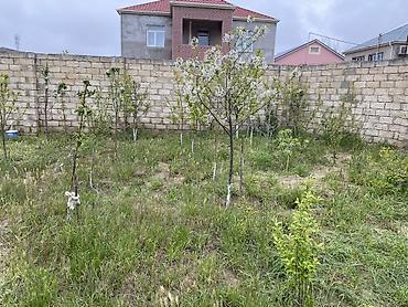 Torpaq sahələrinin satışı: 5 sot, Tikinti, Mülkiyyətçi, Kupça (Çıxarış) — 5