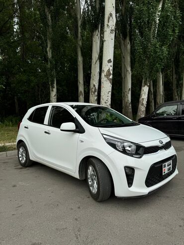 какая машина подойдет для яндекс такси бишкек: Kia Morning: 2020 г., 1 л, Автомат, Бензин, Хетчбек