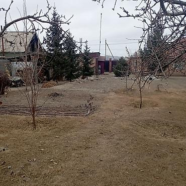 Продажа участков: 25 соток — 14