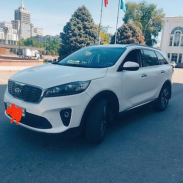 саренто 2020: Kia Sorento: 2020 г., 2 л, Автомат, Дизель, Кроссовер — 8
