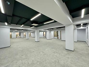 Кеңселерди ижаралоо, 221 м², Бизнес борборунда, Коопсуздук системасы менен